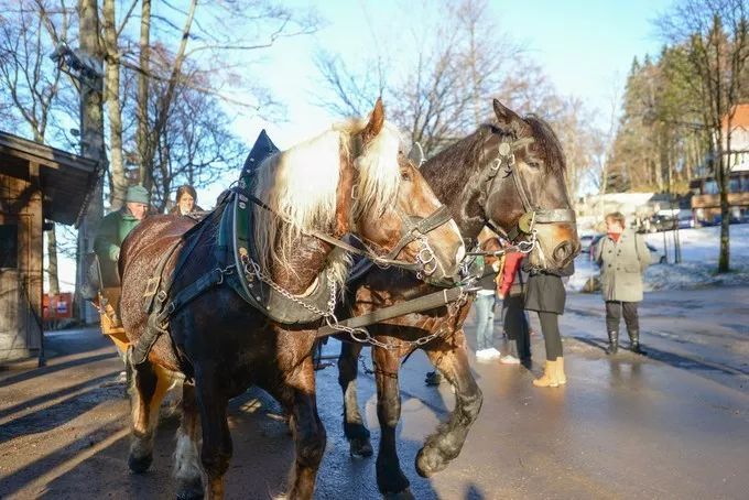 别再排斥跟团了之德国行，从哈布斯堡王朝，到雅历安血统