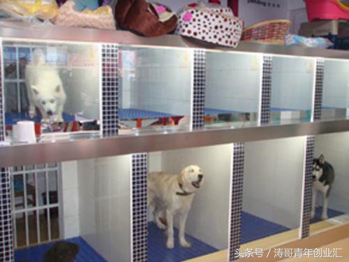 小本创业五大最有前景的创业项目,创业小本投资什么最好见效