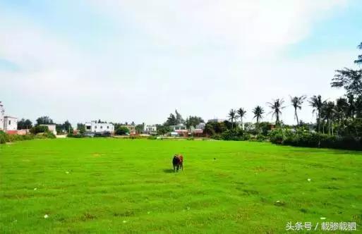 徐闻新年游玩的地方,徐闻超好看的地方