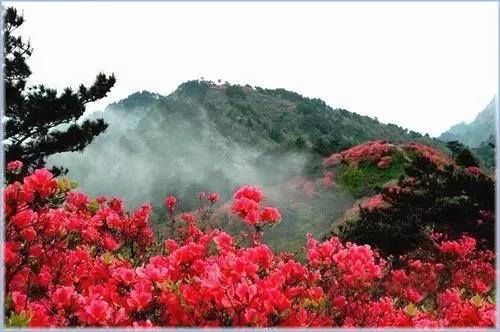 滚蛋吧,春困君!广东这些花花世界让你秒变龙马精神!