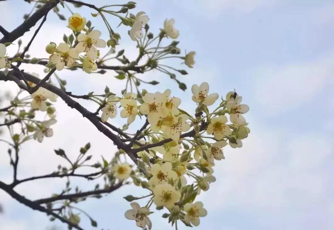 滚蛋吧,春困君!广东这些花花世界让你秒变龙马精神!