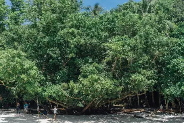 帕劳深度游出海,帕劳深潜体验