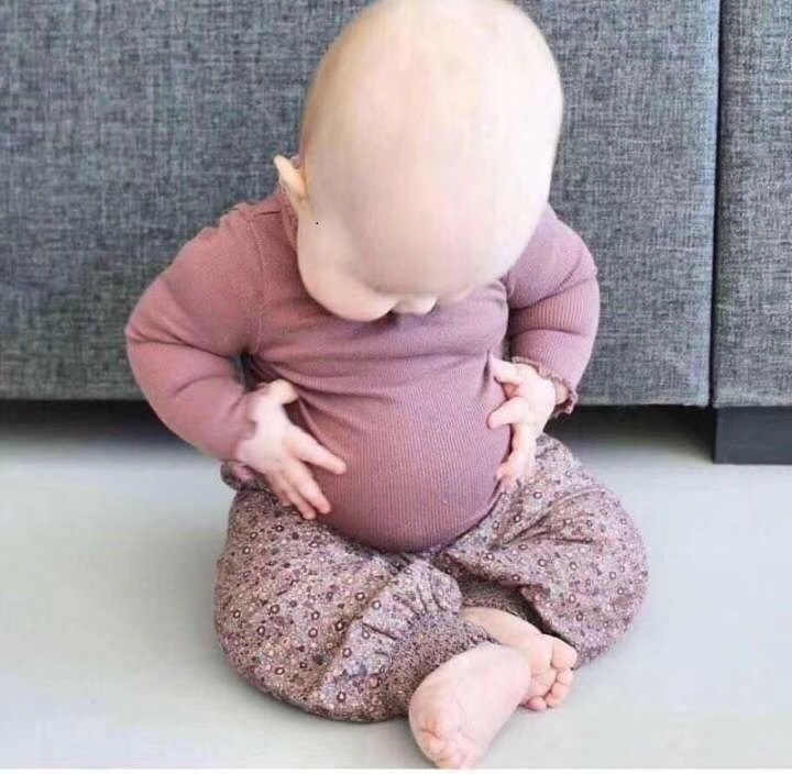 奋斗在狗年：不用起得比鸡都早，不用睡得比狗都晚！