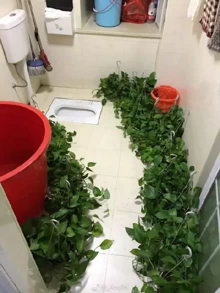 父母给装修的房子看完我就哭了,爸妈留给我的房子装修