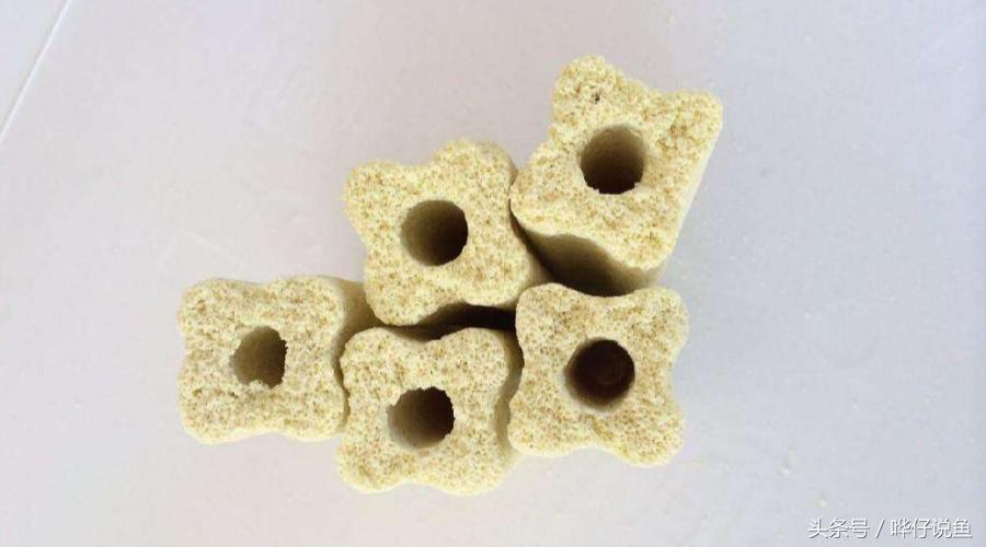 秒懂百科金鱼怎么喂养,秒懂百科养鱼养龟教程