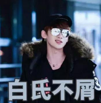 郑合惠子小白综艺,郑合惠子在综艺中的心酸