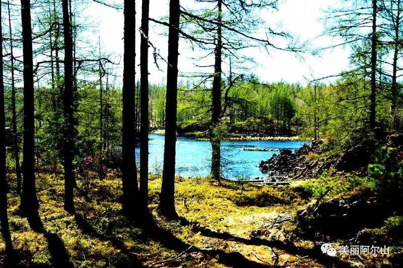 阿尔山携程购票,携程带你游