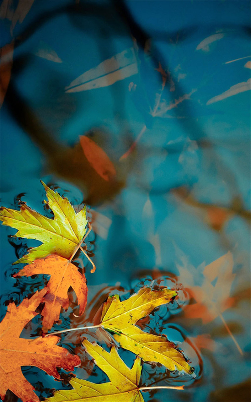 不管未来如何珍惜当下的美好文案,拥有现在珍惜未来