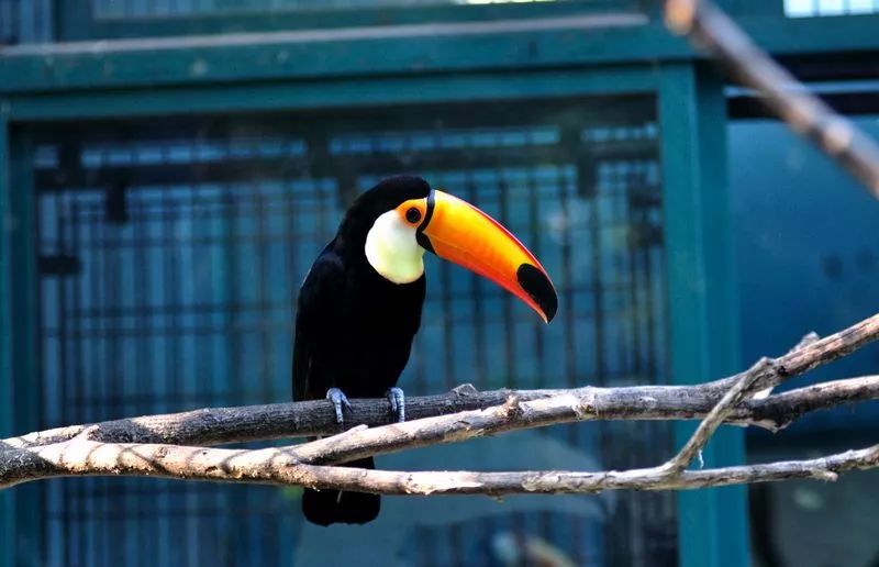 上海新年值得去的地方,春节被挤爆了的九个景点