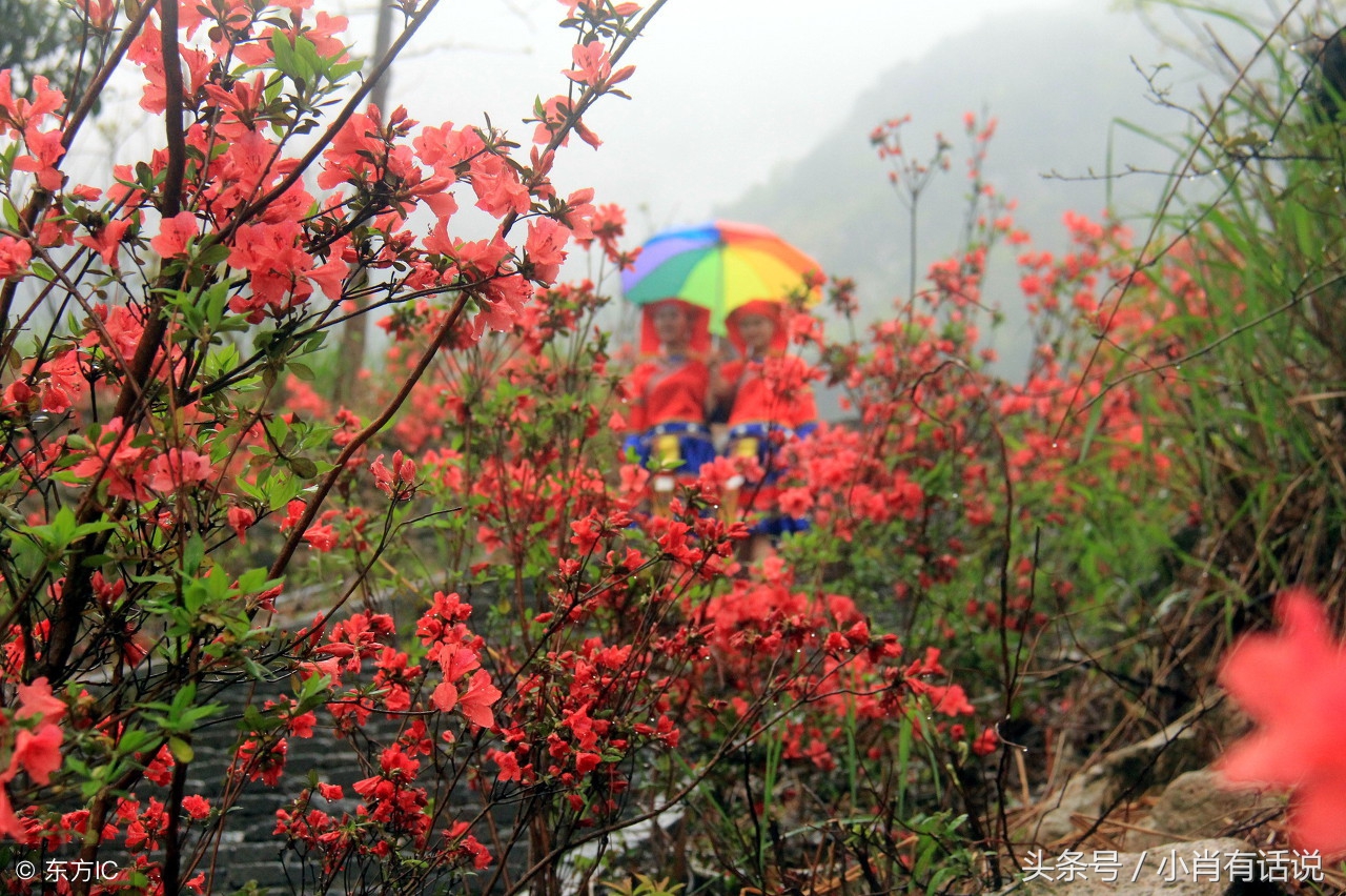 最美麻城,大美黄冈图片欣赏