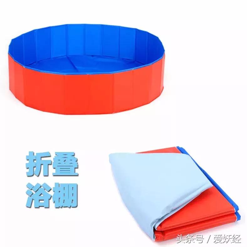 宠物洗护合集,宠物洗护攻略