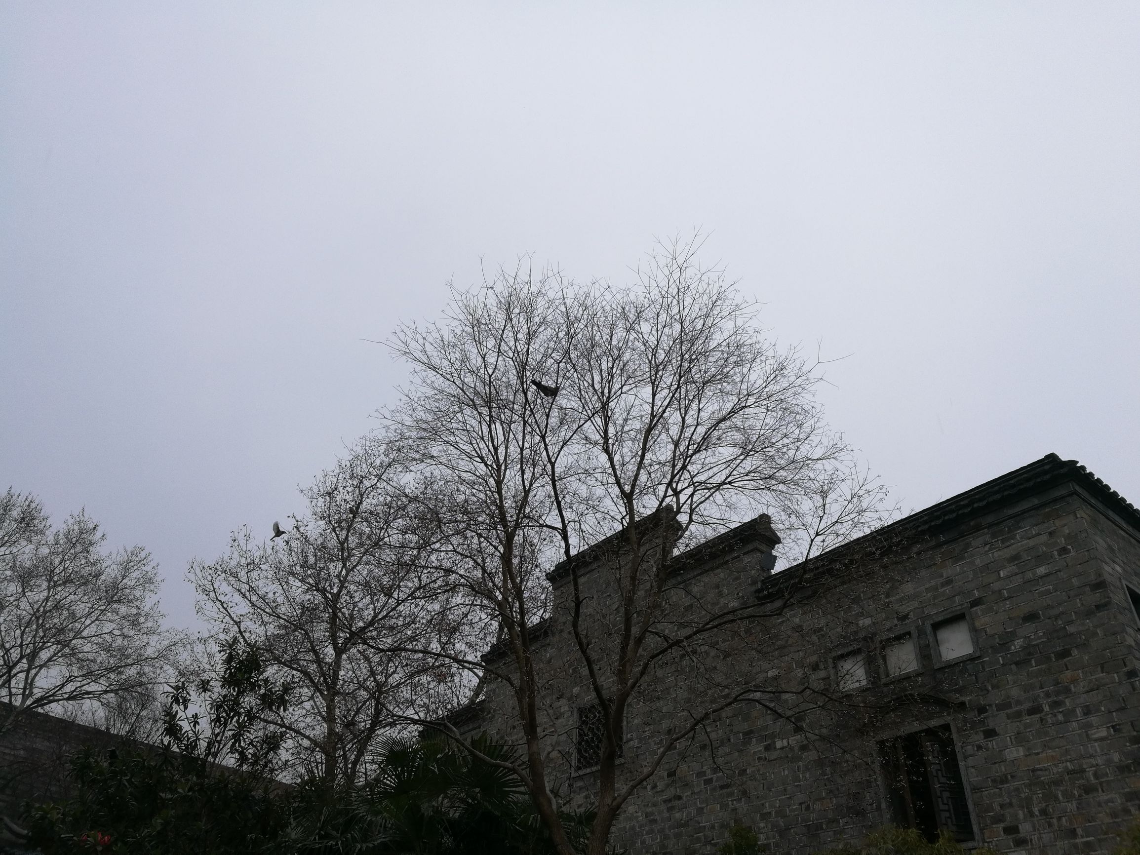 南京旅游打卡美食老东门,南京老门东小西湖景区