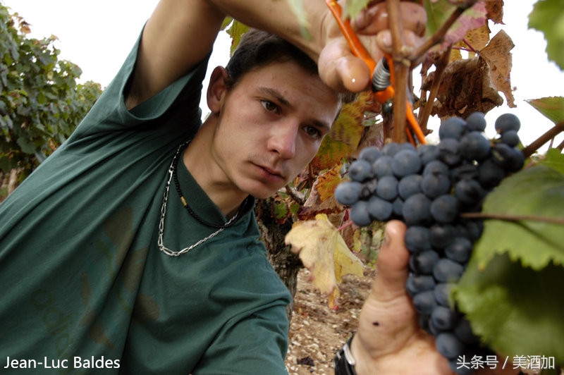 在北京打工月薪1万5什么水平,在北京月工资两万还存不了钱