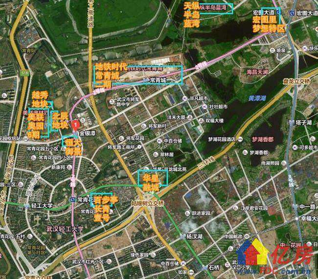 东西湖金银潭和金银湖的房价,东西湖区金银潭房价