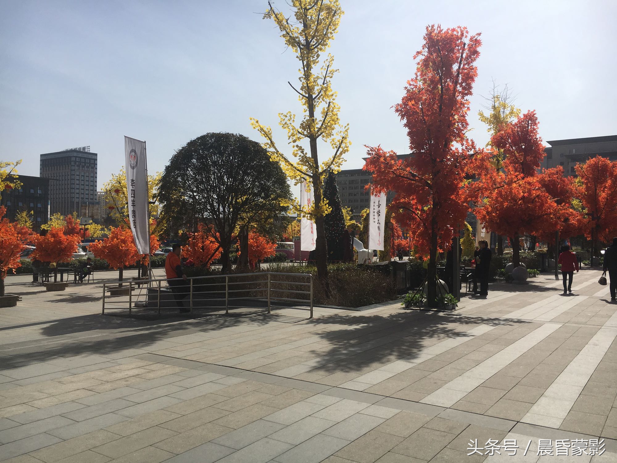 关中城市群文旅,宝鸡城市建设风貌