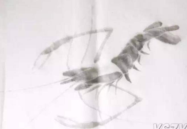 水墨大虾怎么画,水墨彩色大虾画