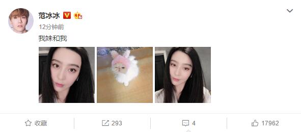 范冰冰微博七条评论,范冰冰一条微博引发的骂战