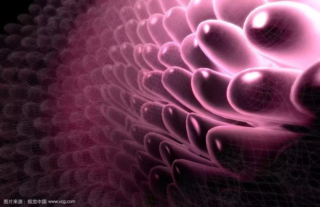 乳酸菌可以促进肠胃吸收吗,乳酸菌可以修复胃黏膜吗