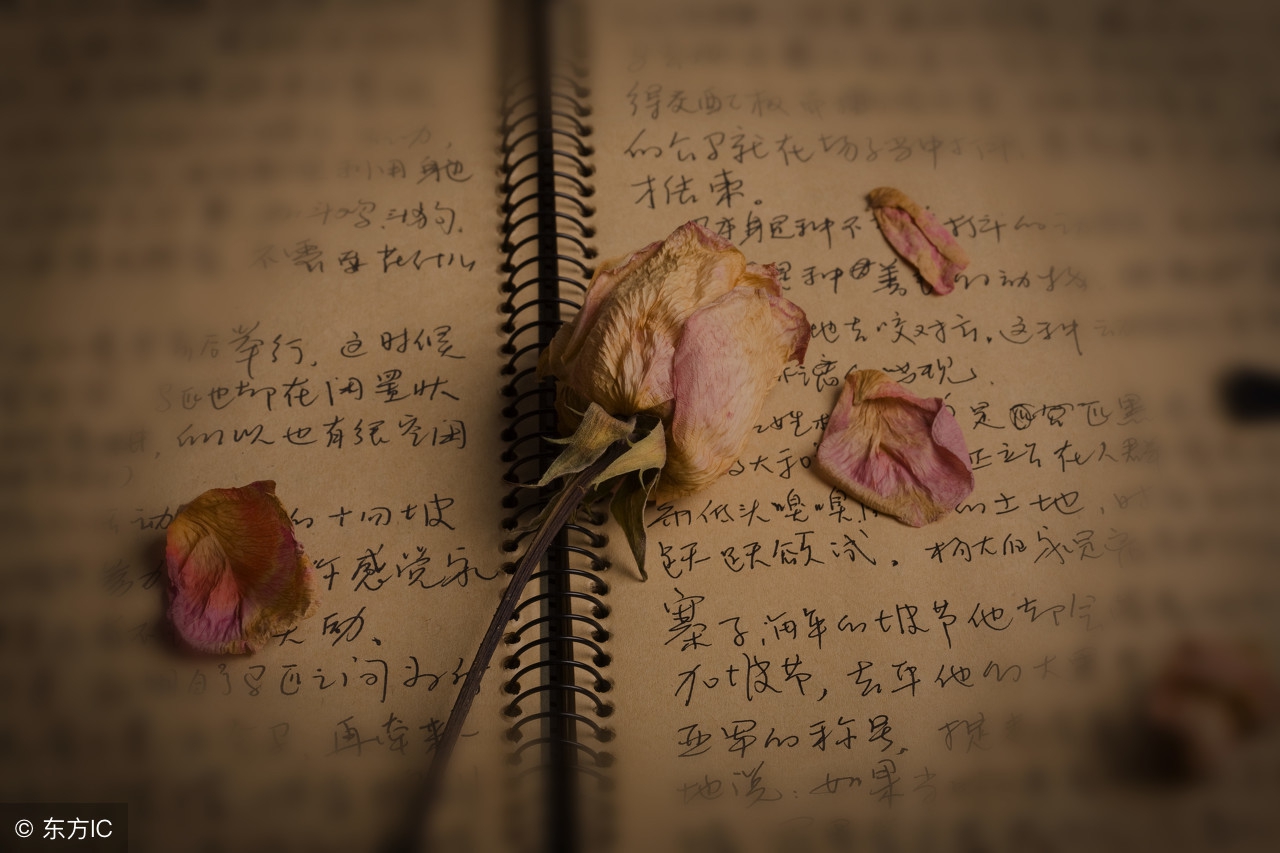 假如你选择了“不够爱”的那个人,你会怎么办？