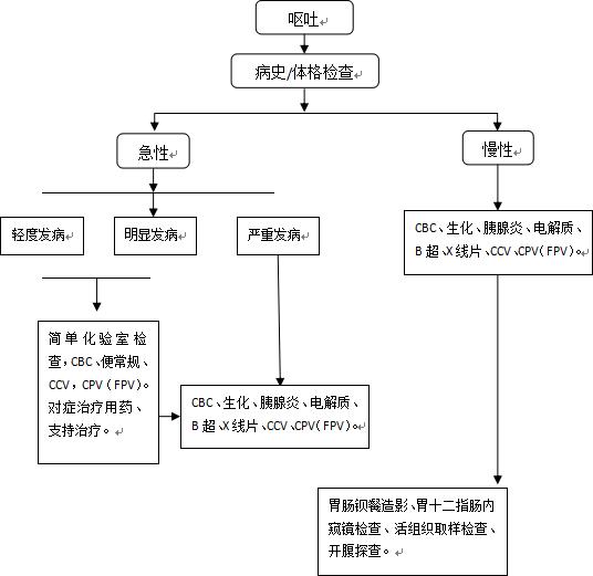 犬猫呕吐的鉴别诊断,犬猫呕吐的诊断和治疗