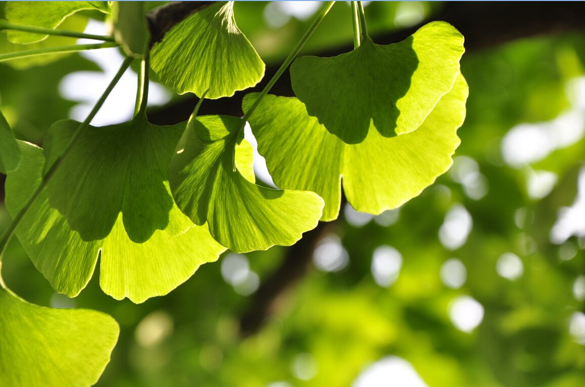 闲时遐想，谨以此文共勉！