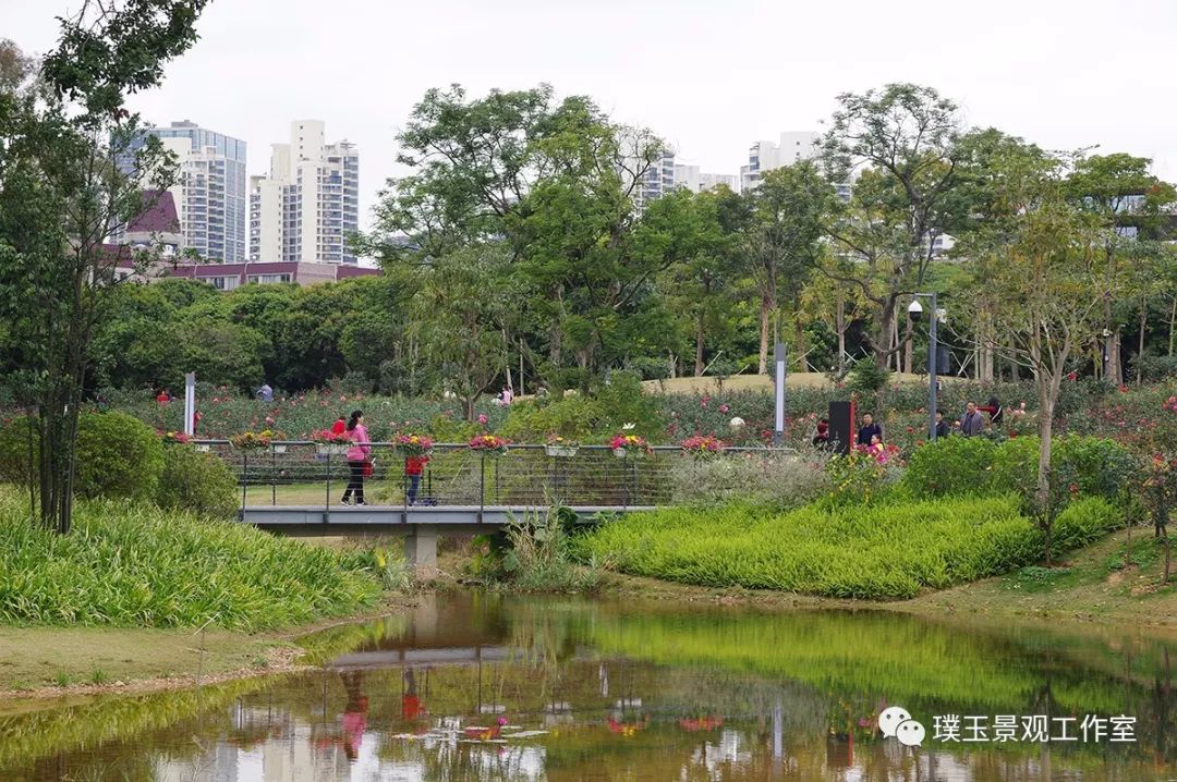 2019年香蜜湖公园,最新香蜜公园视频