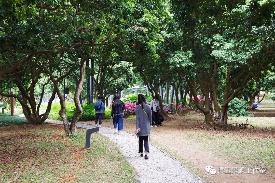 2019年香蜜湖公园,最新香蜜公园视频