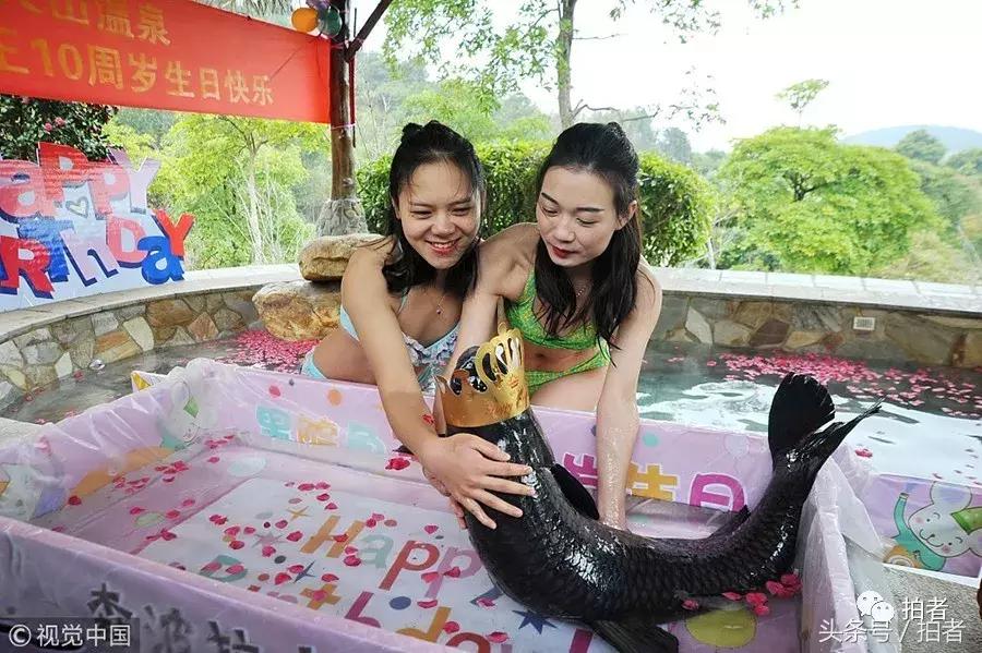 马布里退役仪式北京,马布里退役仪式视频