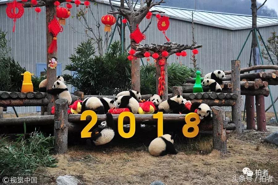 马布里退役仪式北京,马布里退役仪式视频