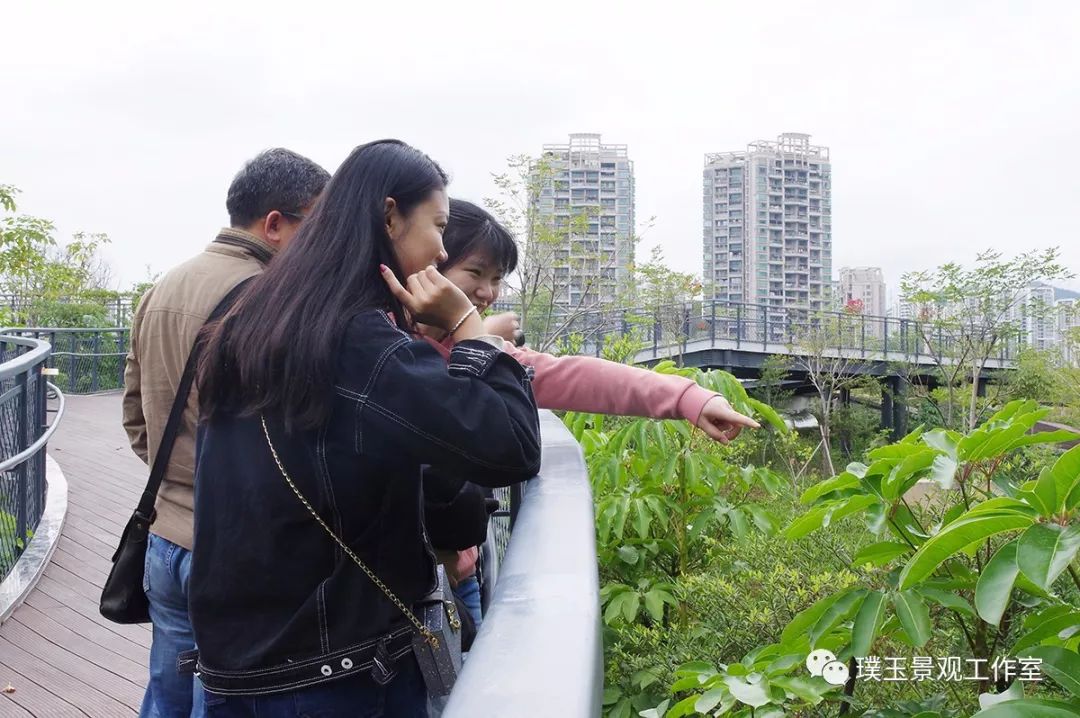 2019年香蜜湖公园,最新香蜜公园视频