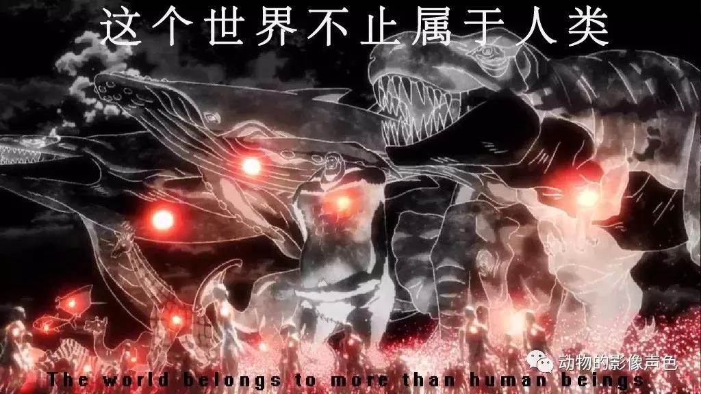 顶级汗血宝马怎么培育,汗血宝马可以培育吗