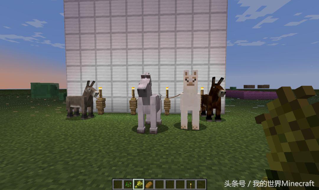 我的世界苦力怕为什么是mc之王,我的世界苦力怕的脑子里会有什么