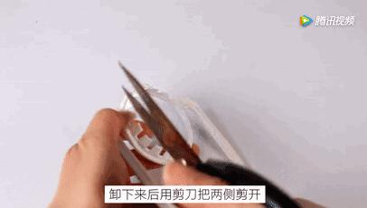 谁还买菜啊,空油桶剪两刀,蔬菜多到吃不完!