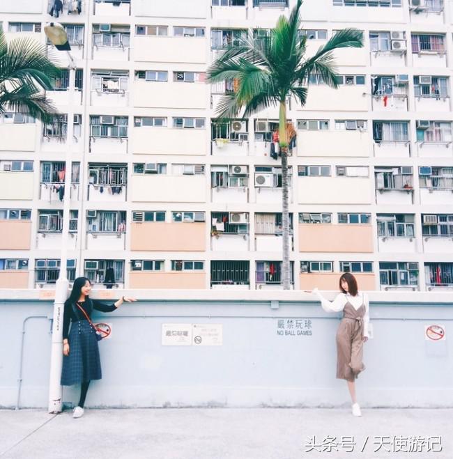 香港旅游攻略简介100字,香港旅游攻略网站推荐一下