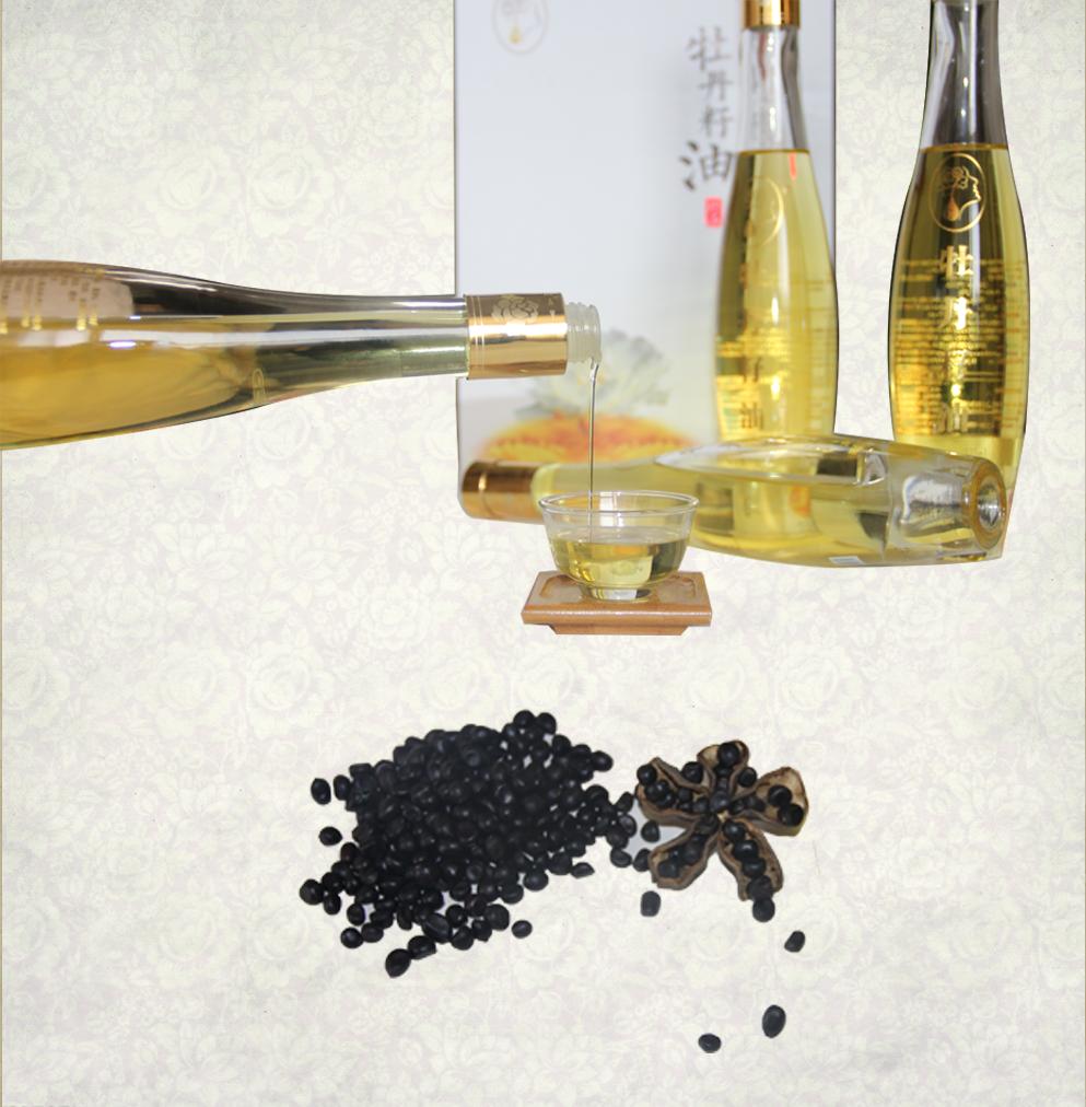 洛阳牡丹甲天下登封牡丹也不错,洛阳牡丹四大名品