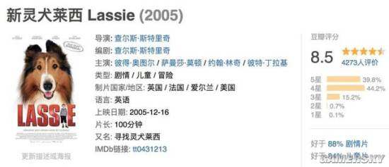 关于狗的电影你喜欢哪一部呢,十部关于狗的电影