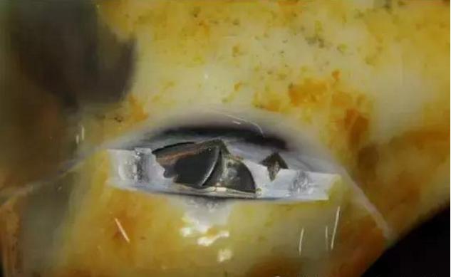 祁连山玉石原石怎样鉴别,玉石原石欣赏