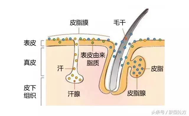 孕期妈妈们的营养指南注意查收,孕期宝妈的护肤步骤是什么