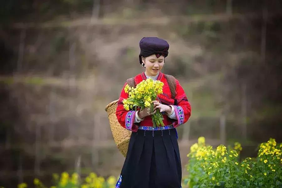 龙脊红瑶寨门票,桂林龙脊梯田门票优惠政策最新