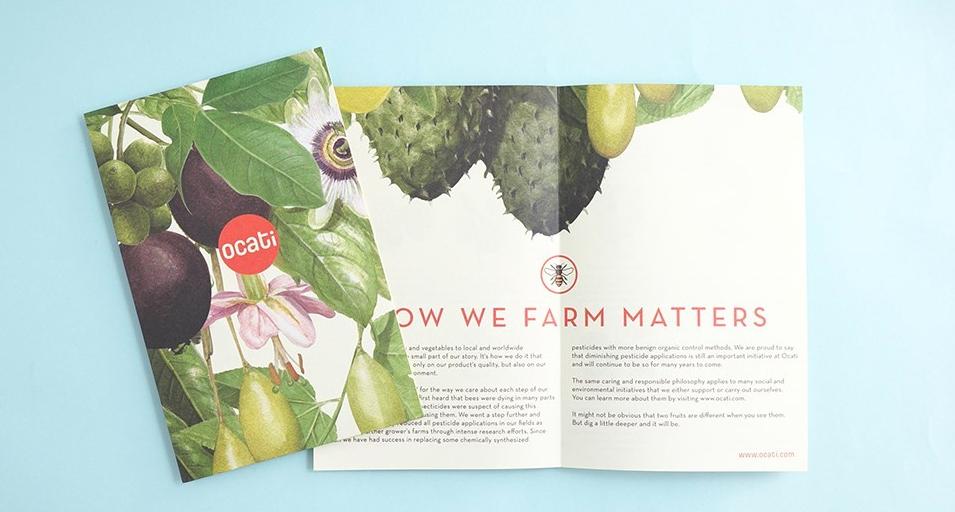 十大顶级高端水果包装,水果干品牌包装设计