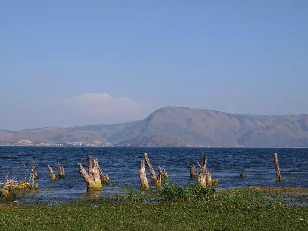 自驾游怎么穿越雪谷,自驾穿越雪地雾凇视频
