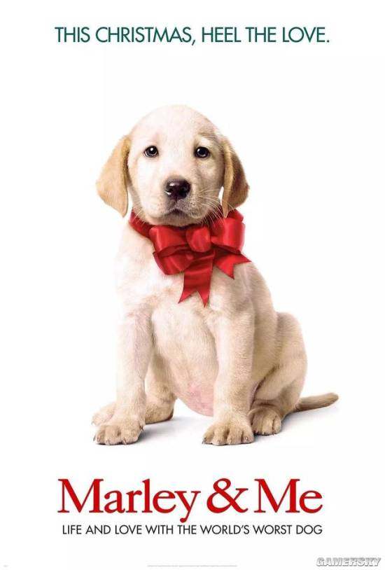 关于狗的电影你喜欢哪一部呢,十部关于狗的电影