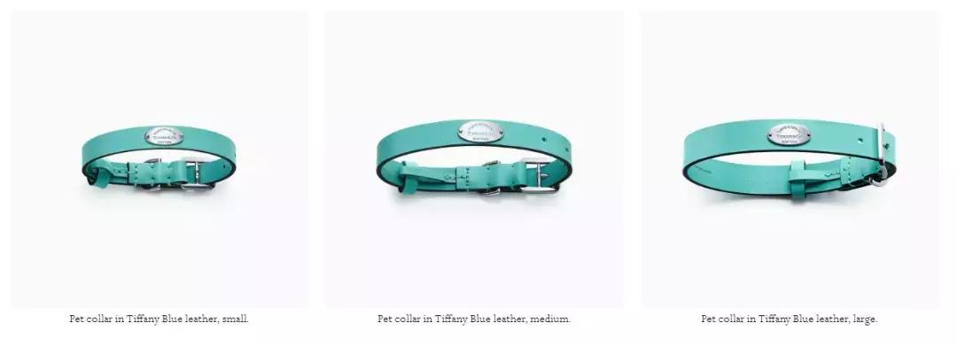 贫穷限制了我的想象力好怕被骗,贫穷又一次限制了我的想象