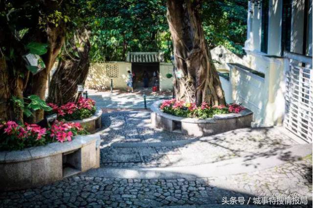 这是我见过最详细的旅游攻略,澳门必须去的旅游景点推荐