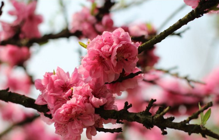 对付背后黑你小人的三个经典方法，学会了受益终生