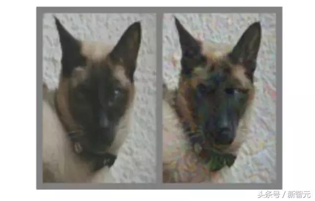 绁炵粡缃戠粶浼氬嚭閿欏悧,绁炵粡浜轰細姊﹀埌鐢靛瓙缇婂悧