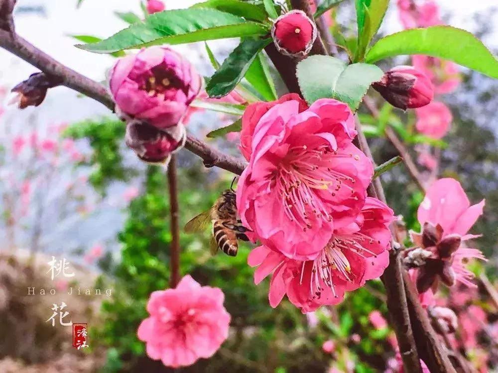 住在汕头有多少幸福感,真羡慕那些住在精装修房子的人