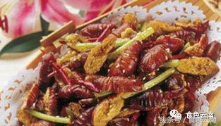 云南三只蚂蚁一道菜,云南三个蚊子一盘菜