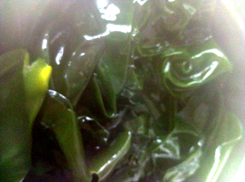新鲜海带怎么处理不变色,新鲜海带怎么处理好吃