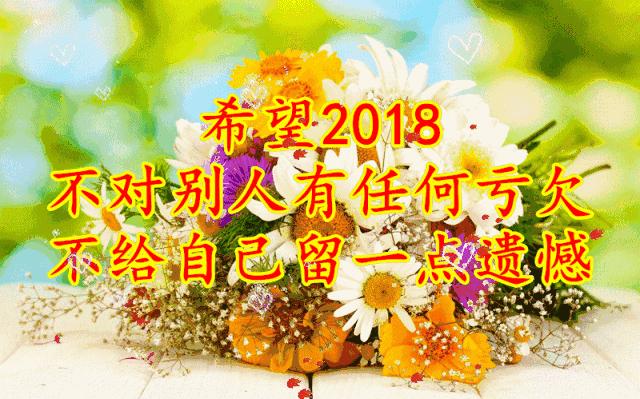 11月4,有群的都看看,太美了,这一辈子见一次值了!